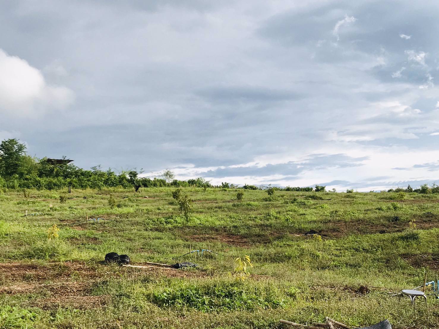 ขายด่วน-ที่ดินติดชายเขา-40ไร่-น้ำไฟพร้อม-มีบ่อบาดาล-มีต้นทุเรียน-ท่อน้ำให้พร้อม