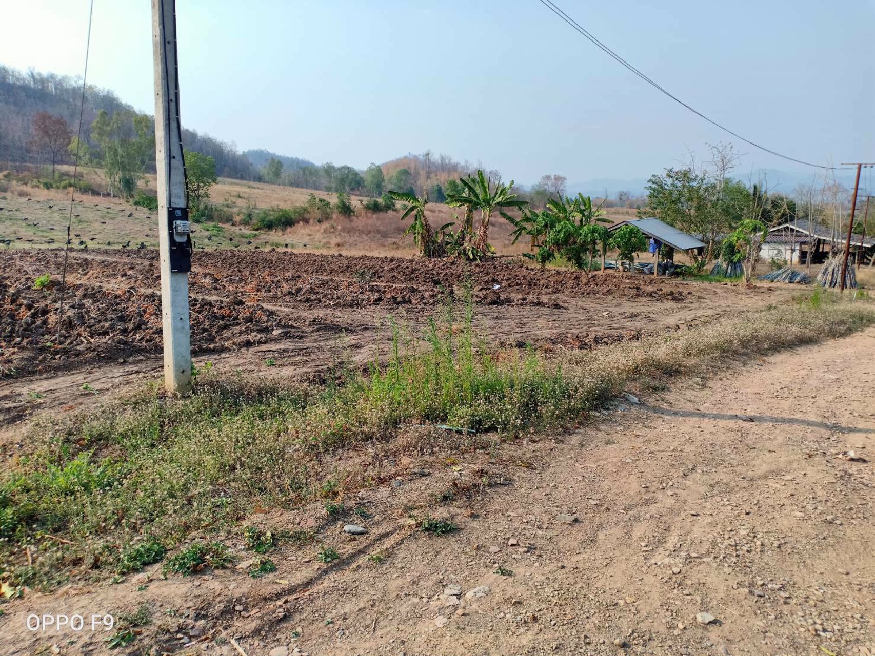 ขายด่วน-ที่ดินติดชายเขา-40ไร่-น้ำไฟพร้อม-มีบ่อบาดาล-มีต้นทุเรียน-ท่อน้ำให้พร้อม