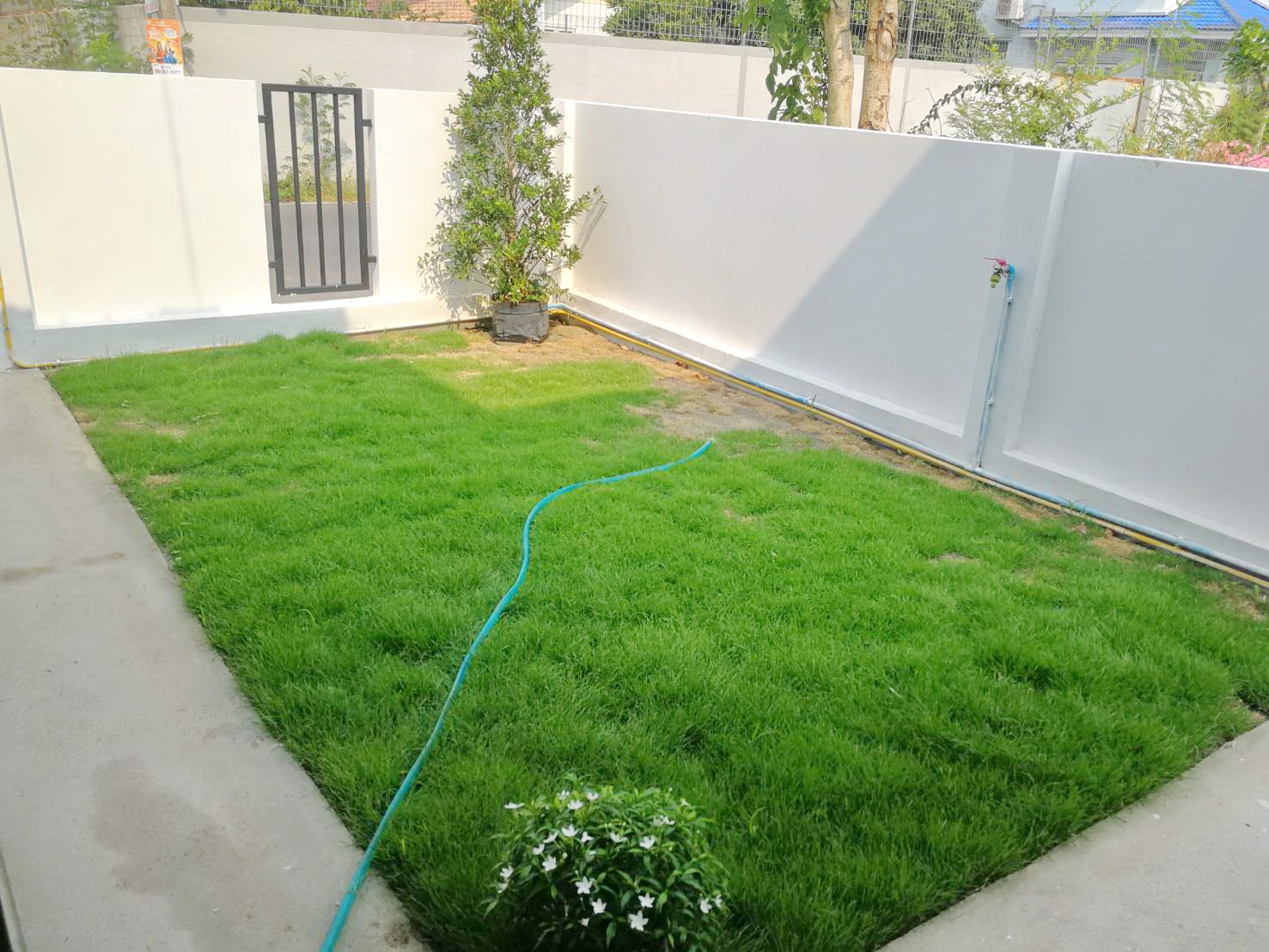 ขายบ้านแฝดชั้นเดียวสร้างใหม่พร้อมที่จอดรถ-มธัญญาพร2-ถรังสิต-นครนายก-คลอง8-ธัญบุรี