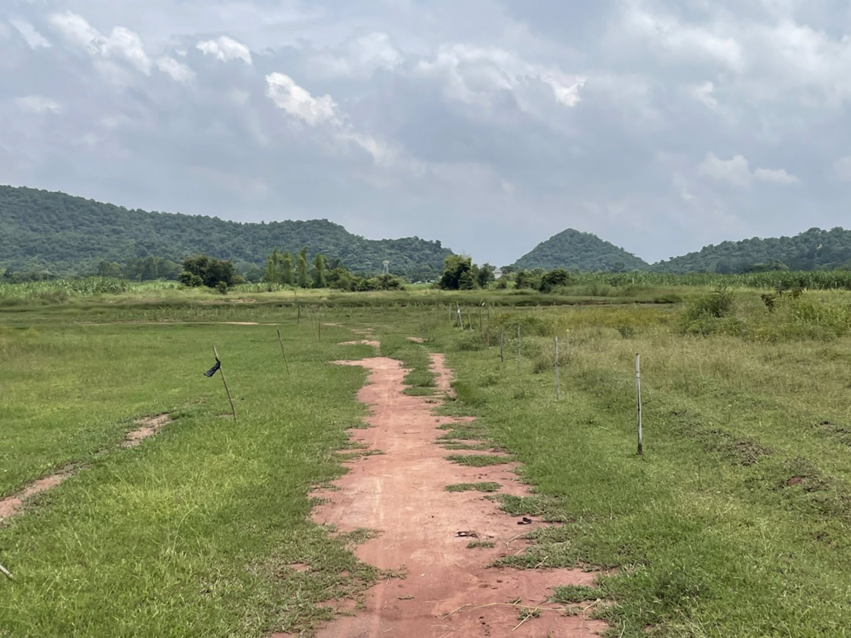 ขายที่ดิน-ขนาด22ไร่-3งาน-29-ตรว