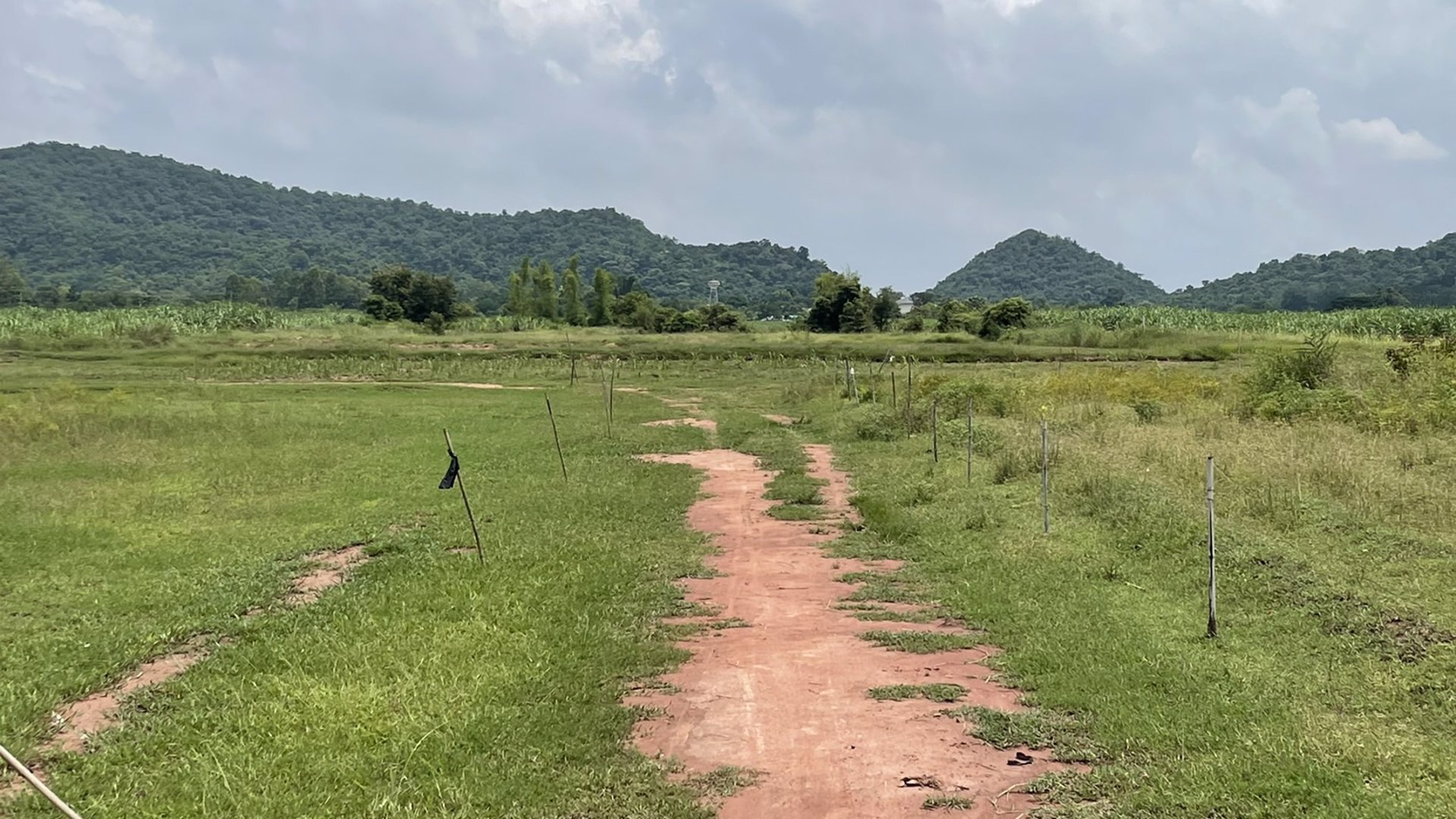 ขายที่ดิน-ขนาด22ไร่-3งาน-29-ตรว