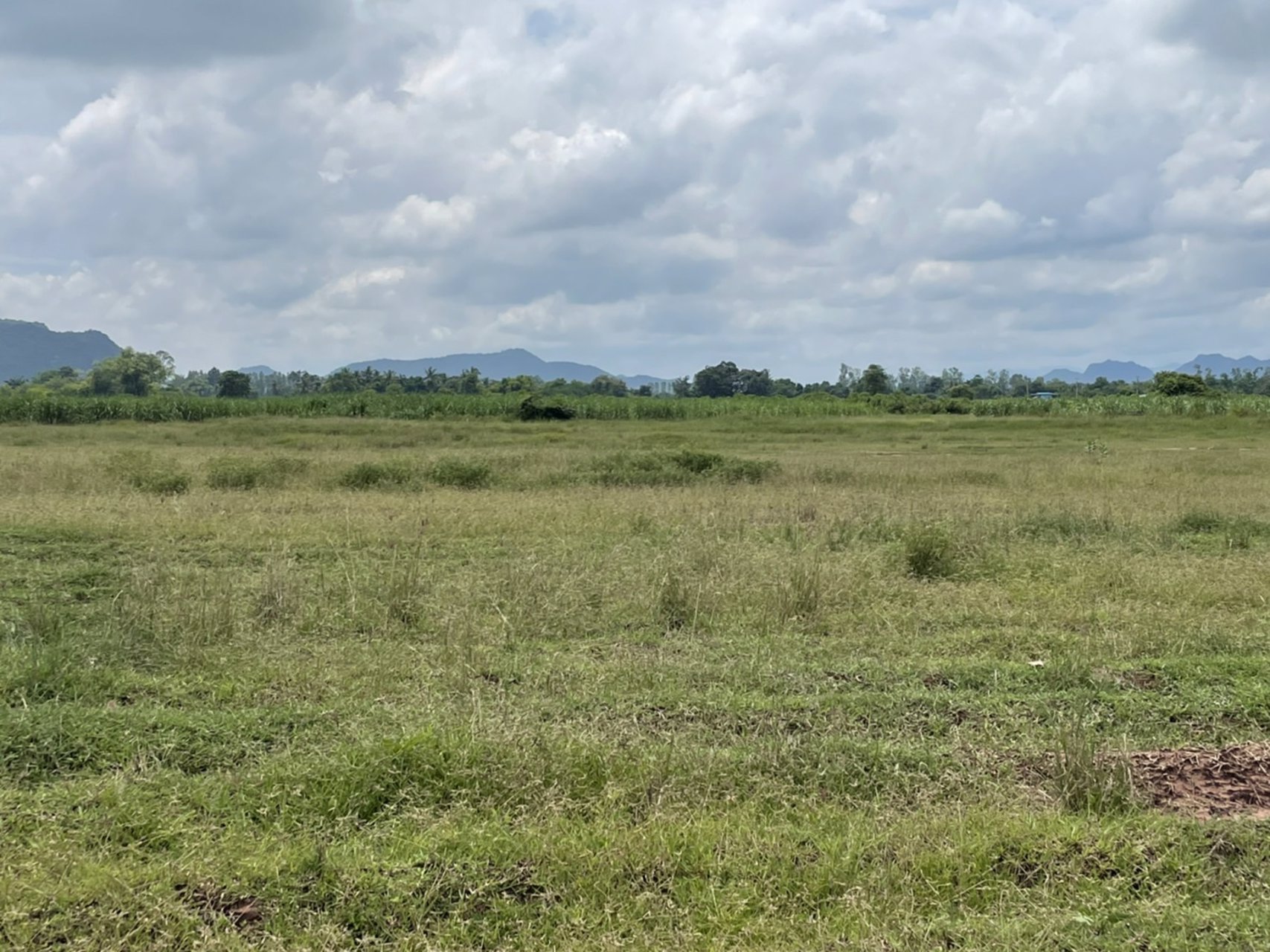 ขายที่ดิน-ขนาด22ไร่-3งาน-29-ตรว