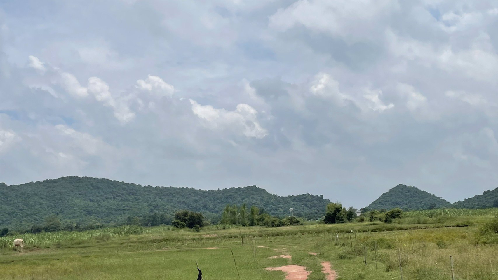 ขายที่ดิน-ขนาด22ไร่-3งาน-29-ตรว