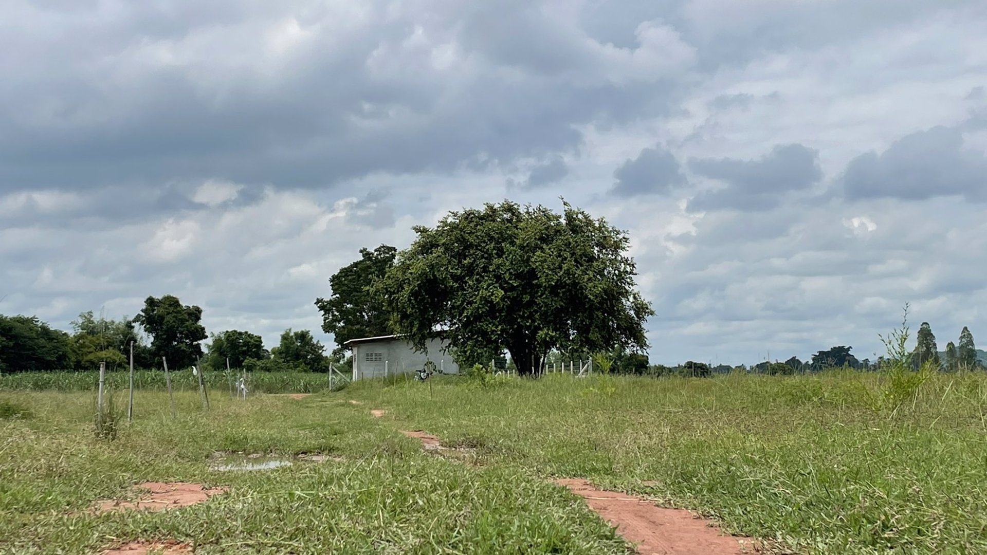 ขายที่ดิน-ขนาด22ไร่-3งาน-29-ตรว