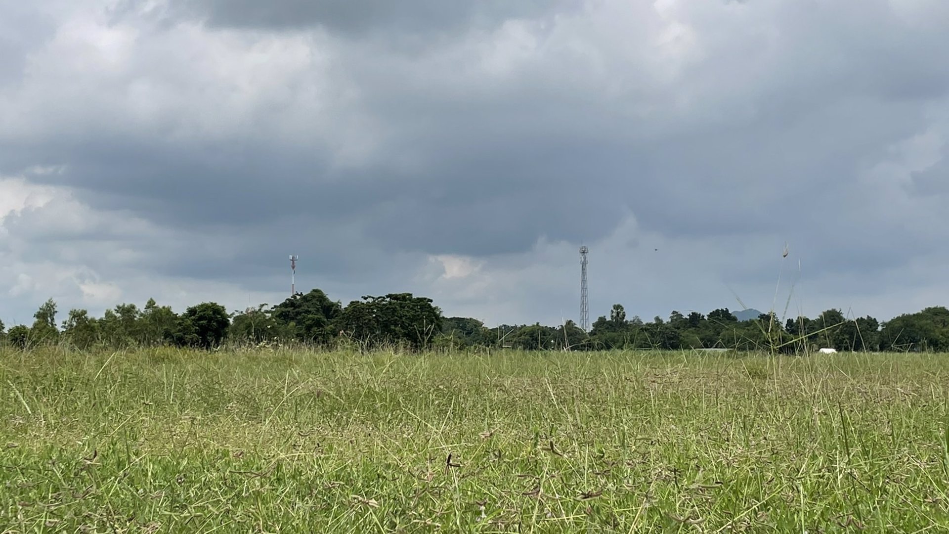 ขายที่ดิน-ขนาด22ไร่-3งาน-29-ตรว