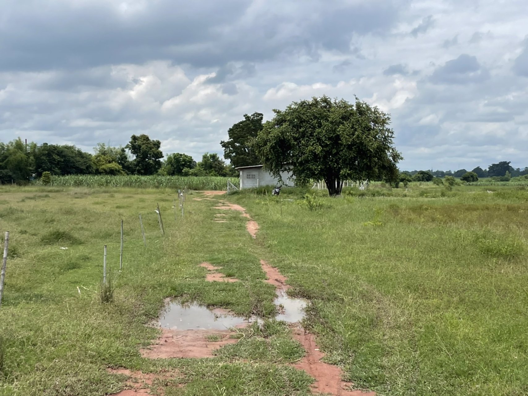 ขายที่ดิน-ขนาด22ไร่-3งาน-29-ตรว