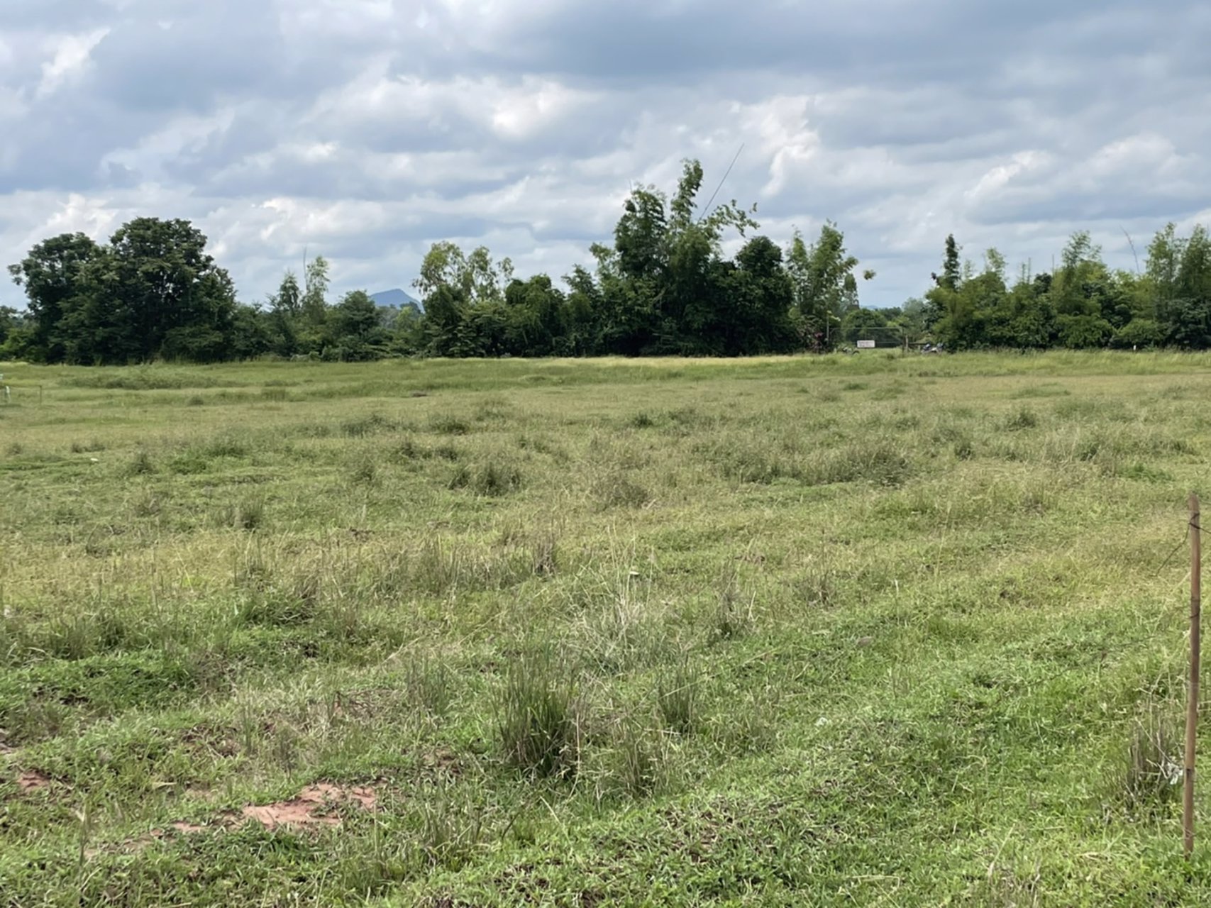 ขายที่ดิน-ขนาด22ไร่-3งาน-29-ตรว