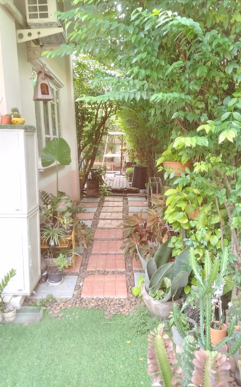 ขายบ้านเดี่ยว-ธารารมณ์-parkway-chalet-รามคำแหง190-1