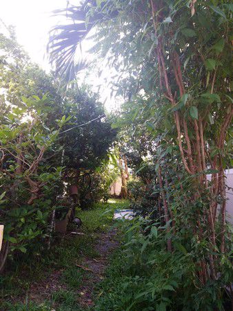 บ้านเดี่ยว2ชั้น-มบศุภาลัยการ์เดนวิลล์-ใกล้สนามบินดอนเมือง-ทางด่วนศรีสมานและ-bts-พร้อมอยู่-ดอนเมือง