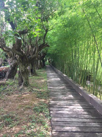 ขายคอนโดเขาใหญ่-โครงการ-swan-lake