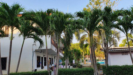 อพาร์ทเม้นท์-96-ห้อง-พร้อมบ้านพัก-เนื้อที่มากกว่า-4-ไร่-ตหนองปรือ-จชลบุรี