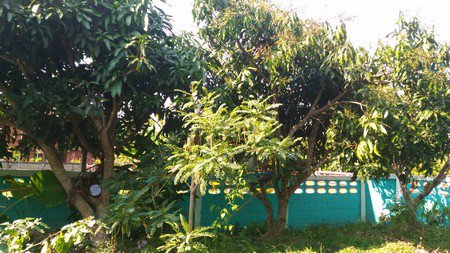 บ้านเดี่ยว-2-ชั้น-พร้อมที่ดิน-เนื้อที่-74-ตรว-3-ห้องนอน-อเชียงของ-จเชียงราย