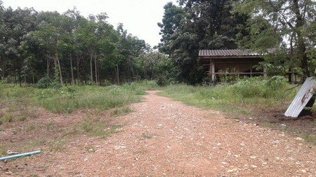 ขายที่ดินแปลง-64-ใร่-แบ่งขายหรือซื้อยกแปลง-ตช้างตะลูด-อหล่มสัก-จเพชรบูรณ์