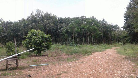 ขายที่ดินแปลง-64-ใร่-แบ่งขายหรือซื้อยกแปลง-ตช้างตะลูด-อหล่มสัก-จเพชรบูรณ์