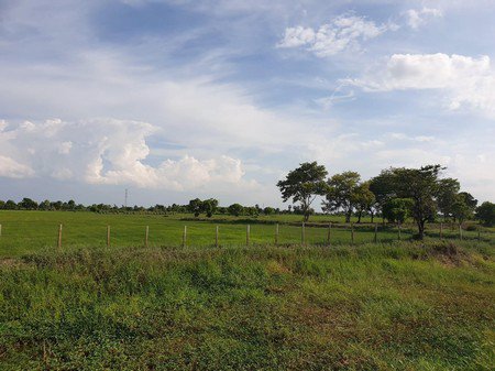 ขายเหมาบ้านสวนและที่นาขนาด-13-ไร่-2-งาน-53-ตรว-จชัยภูมิ