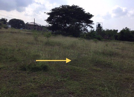 ขายที่ดินติดถนน-อำเภอเมือง-จังหวัดลำปาง-เนื้อที่-6ไร่-1งาน