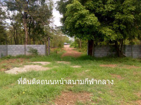 ขายที่ดิน-จหนองบัวลำภู-ที่ดินเนื้อที่-11-ไร่-3-งาน-ที่สวยทำเลดี