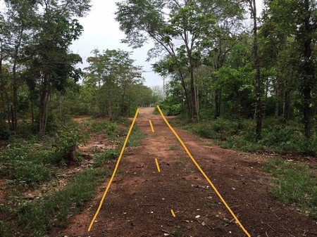 ขายที่ดิน-จหนองบัวลำภู-ที่ดินเนื้อที่-11-ไร่-3-งาน-ที่สวยทำเลดี