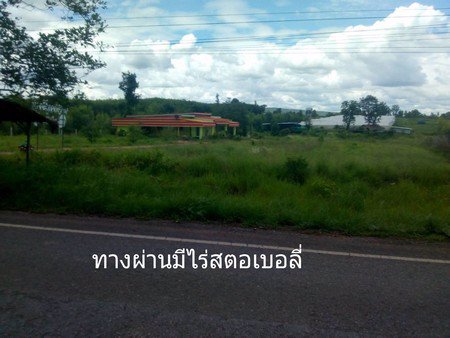 ขายที่ดิน-จหนองบัวลำภู-ที่ดินเนื้อที่-11-ไร่-3-งาน-ที่สวยทำเลดี