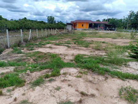 ขายที่ดิน-จ-เชียงใหม่-เนื้อที่-1-ไร่-1-งาน-ที่ดินติดถนนถมแล้ว-เจ้าของขายเอง