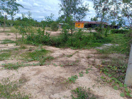 ขายที่ดิน-จ-เชียงใหม่-เนื้อที่-1-ไร่-1-งาน-ที่ดินติดถนนถมแล้ว-เจ้าของขายเอง