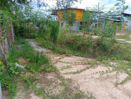 ขายที่ดิน-จ-เชียงใหม่-เนื้อที่-1-ไร่-1-งาน-ที่ดินติดถนนถมแล้ว-เจ้าของขายเอง