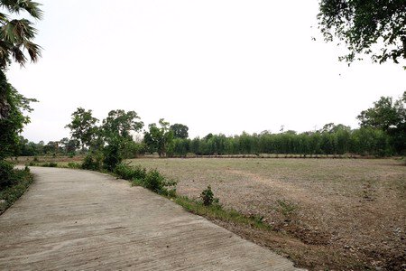 ขายที่ดิน-8ไร่-3งาน-84-ตรว-แบ่งเป็น-2แปลง-แปลงละ4ไร่1งาน-888-ตรว