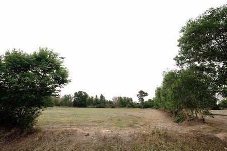 ขายที่ดิน-8ไร่-3งาน-84-ตรว-แบ่งเป็น-2แปลง-แปลงละ4ไร่1งาน-888-ตรว