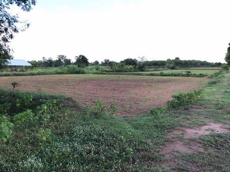 ขายด่วน-พื้นที่สวย-ทำเลทอง-25ไร่-อบ้านกรวดจบุรีรัมย์