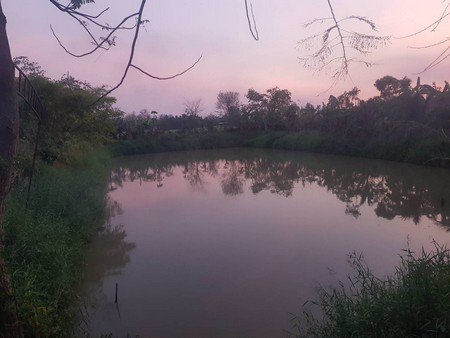 ขายที่ดินพร้อมสิ่งปลูกสร้าง-2-ไร่-1-งาน-32-ตรว-ตทรงธรรม-อเมืองกำเเพงเพชร-จกำเเพงเพชร