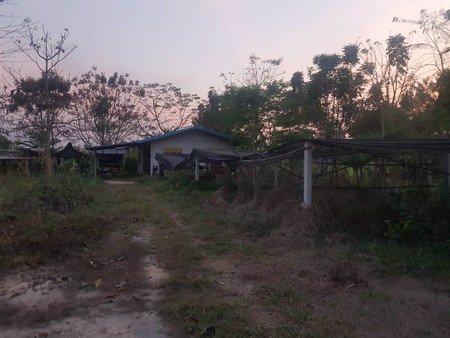 ขายที่ดินพร้อมสิ่งปลูกสร้าง-2-ไร่-1-งาน-32-ตรว-ตทรงธรรม-อเมืองกำเเพงเพชร-จกำเเพงเพชร