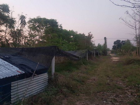 ขายที่ดินพร้อมสิ่งปลูกสร้าง-2-ไร่-1-งาน-32-ตรว-ตทรงธรรม-อเมืองกำเเพงเพชร-จกำเเพงเพชร