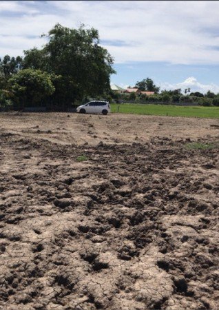 ขายที่ดินถมแล้ว-มีสระน้ำ-เหมาะกับการทำเกษตรในจังหวัดชัยนาท