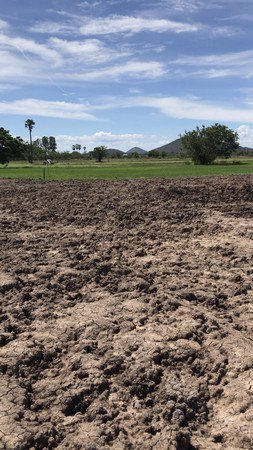 ขายที่ดินถมแล้ว-มีสระน้ำ-เหมาะกับการทำเกษตรในจังหวัดชัยนาท