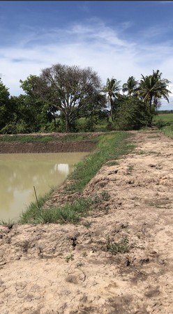 ขายที่ดินถมแล้ว-มีสระน้ำ-เหมาะกับการทำเกษตรในจังหวัดชัยนาท