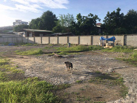 ขายที่ดิน-เนื้อที่-1-ไร่-370-ตารางวา-แขวงตลิ่งชัน-เขตตลิ่งชัน-กทม