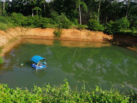 ขายสวนทุเรียน-จังหวัดจันทบุรี-เนื้อที่-18ไร่