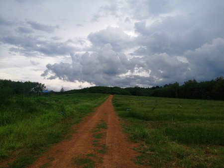 ขายสวนทุเรียน-เนื้อที่-61ไร่เศษ-เจ้าของขายเอง