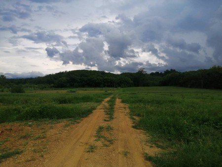 ขายสวนทุเรียน-เนื้อที่-61ไร่เศษ-เจ้าของขายเอง