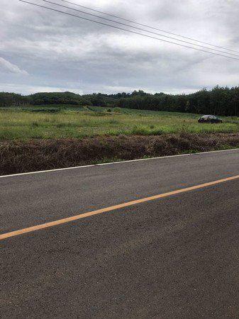 ขายสวนทุเรียน-เนื้อที่-61ไร่เศษ-เจ้าของขายเอง