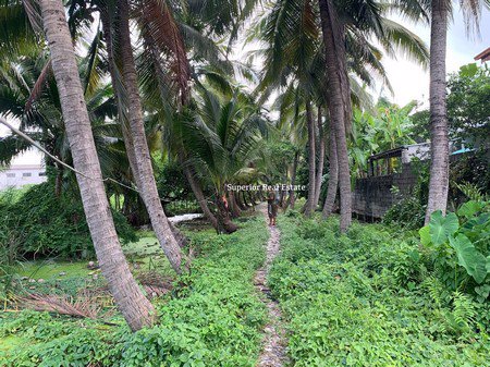 ขายที่ดิน-3ไร่-1-งาน-51-ตารางวา-กทม