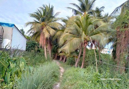 ขายที่ดิน-3ไร่-1-งาน-51-ตารางวา-กทม