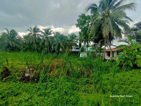 ขายที่ดิน-3ไร่-1-งาน-51-ตารางวา-กทม