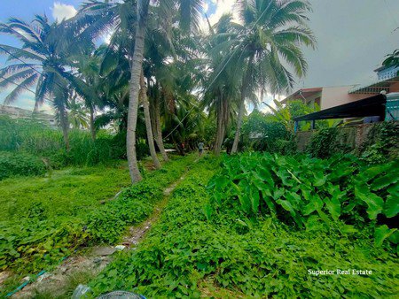 ขายที่ดิน-3ไร่-1-งาน-51-ตารางวา-กทม