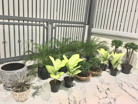 ขายทาวน์โฮม-หมู่บ้านโกล์ดเด้น-ซิตี้-ปิ่นเกล้า-จรัญสนิทวงศ์-ทำเลดี-ใกล้รถไฟฟ้า