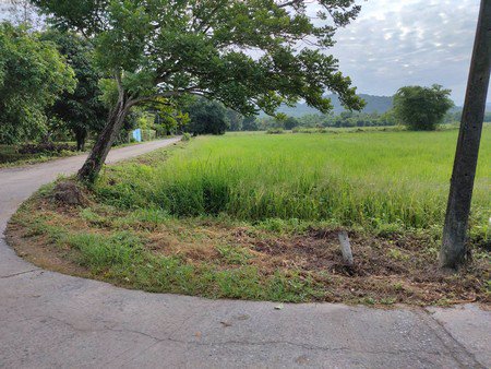 ขายที่ดิน-จนครนายก-2ไร่2งาน36ตรว