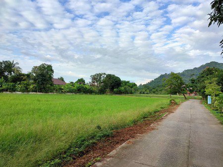 ขายที่ดิน-จนครนายก-2ไร่2งาน36ตรว