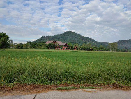 ขายที่ดิน-จนครนายก-2ไร่2งาน36ตรว