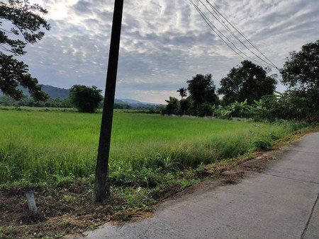 ขายที่ดิน-จนครนายก-2ไร่2งาน36ตรว