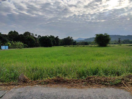 ขายที่ดิน-จนครนายก-2ไร่2งาน36ตรว